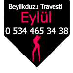 Beylikduzu Travesti Eylül 0 534 465 34 38